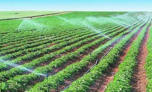 插jb视频在线免费观看欧美农田高 效节水灌溉